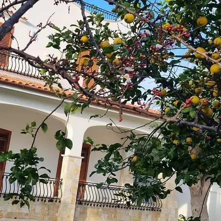 Guajira