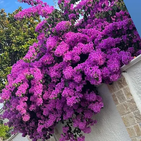 Frühstückspension Guajira Bari