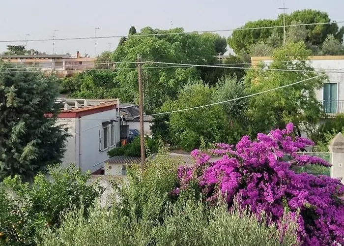 Bed & Breakfast Guajira 4*