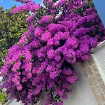 Bed & Breakfast Guajira Bari