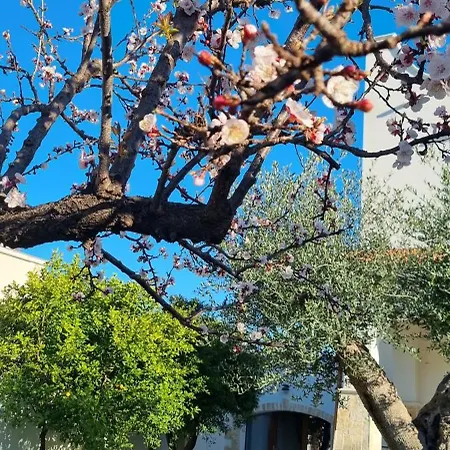 Guajira Nocleg ze śniadaniem Bari