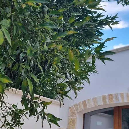 Guajira Nocleg ze śniadaniem