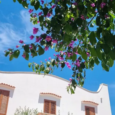 Guajira Bed & Breakfast 4*